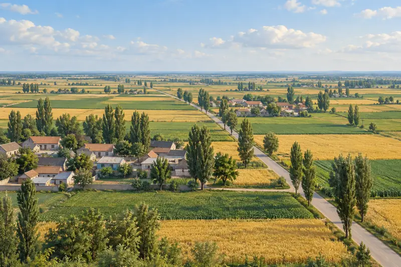 AI illustration of a general cultivated countryside scene; not a photograph or an exact view of this place.