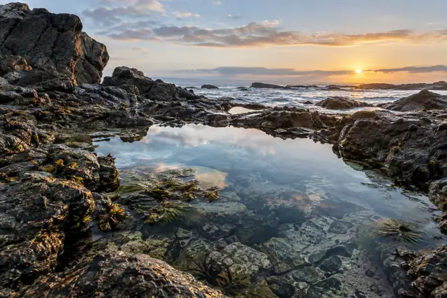 AI illustration: A close-to-medium view of an ordinary rocky Chinese shoreline tide pool, wet rocks.