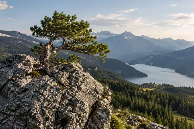 AI illustration: Weathered grey mountain rock with fissures, rounded ledges, a small pine branch and green vegetation.
