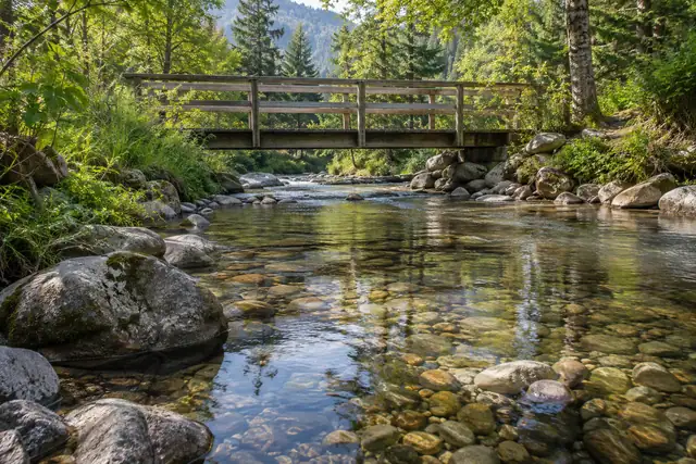 AI illustration: A close view of clear shallow stream water flowing over rounded pebbles and mossy stones in a wooded valley.