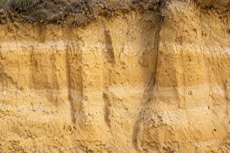 AI illustration: Fine yellow loess texture with natural erosion grooves