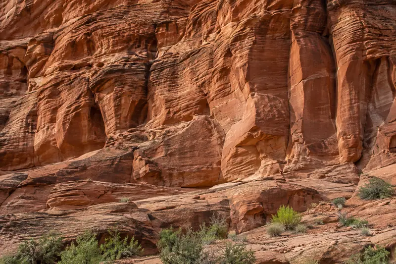 AI illustration: Rust-red sandstone layers with eroded vertical grooves and small green plants at their base.