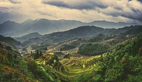 Yunhe Rice Terraces across the mountain valley · 云和梯田