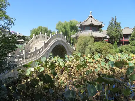 Ancient Lotus Pond · 古莲花池