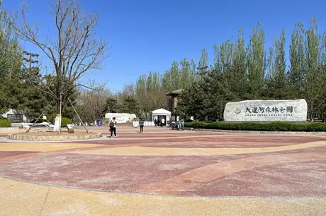 Grand Canal Forest Park · 大运河森林公园