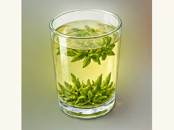 Rizhao green tea · 日照绿茶 · AI dish illustration