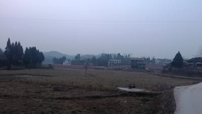 Xichong County (西充县) — representative view · 西充县农田