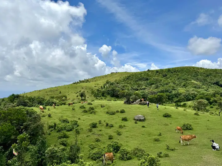 Bapai Mountain (八排山)