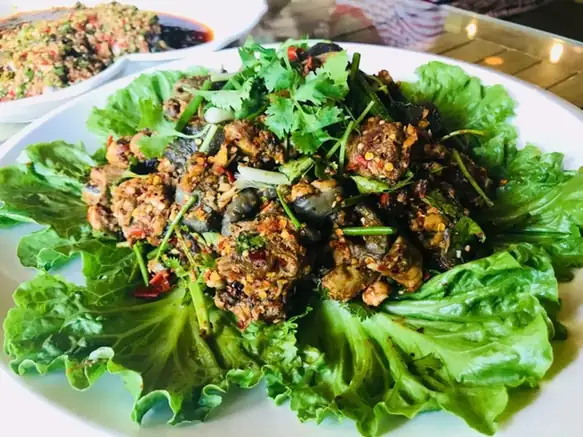 Panzhihua Stir-Fried Chicken Chunks (坨坨鸡) — dish photograph