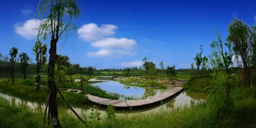 Bailuwan Wetland Park (白鹭湾湿地公园)