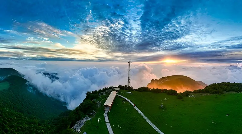 Lishan Forest Scenic Area (历山森林景区)