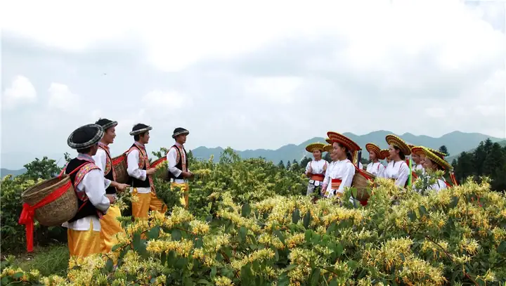 Dahuayao Huxing Mountain (大花瑶虎形山)