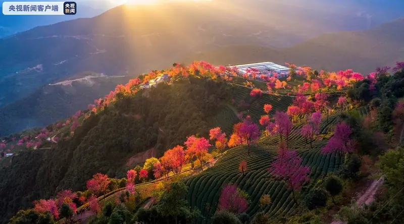 Wuliang Mountains Nature Observation Trail (无量山正规开放自然观察线路)