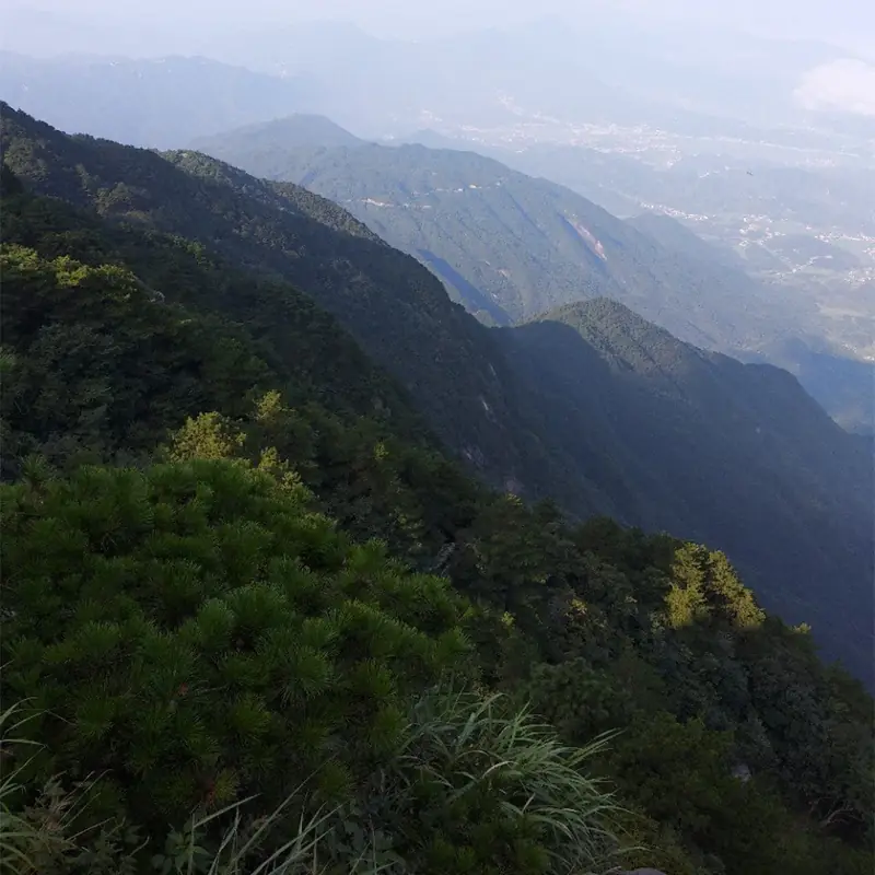 Mufu Mountain (幕阜山)