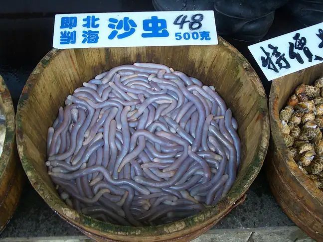 Sand Worms (沙虫) — dish photograph