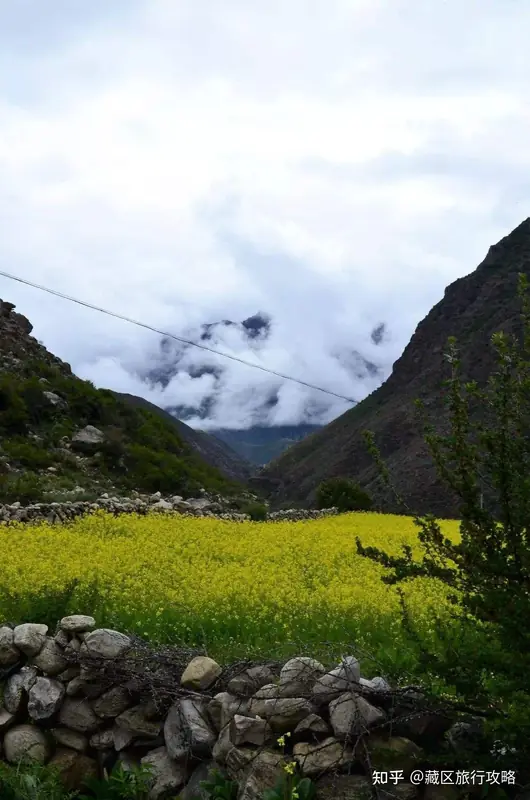 Lhozhag County (洛扎县) — representative view · 低云、山峰与绿色河谷草地
