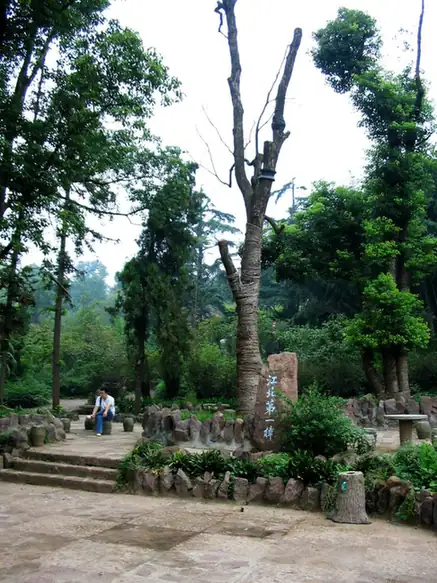 Maling Mountain (马陵山)