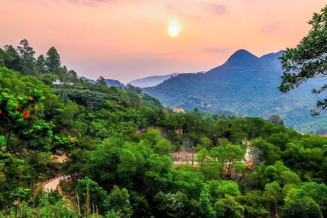 Guanyin Mountain National Forest Park (东莞观音山国家森林公园)