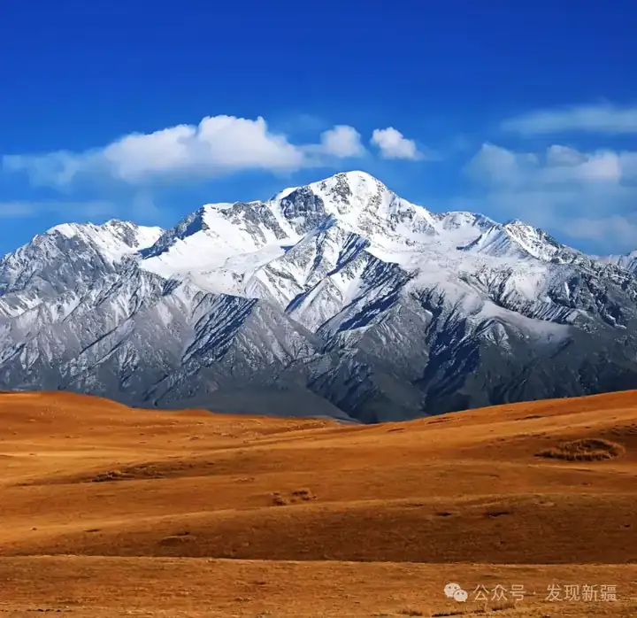 Qira County (策勒县) — representative view · 金色旷野前的连绵雪山