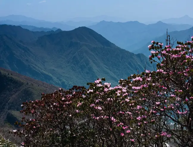 Pingwu County (平武县) — representative view · 平武县山村