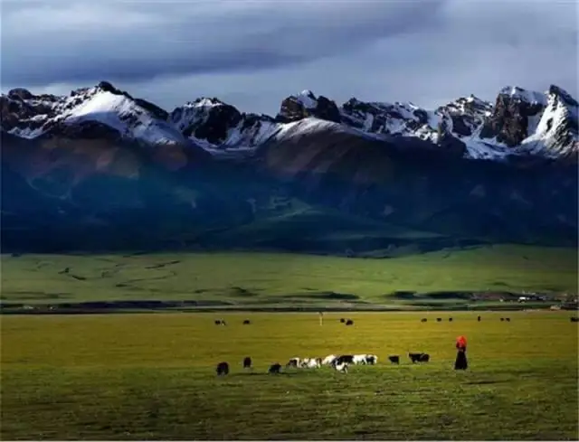 Nagqu Grassland (那曲草原)