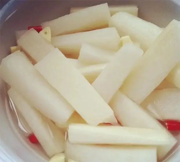 Chenxi Pickled Radish (辰溪酸萝卜) — dish photograph