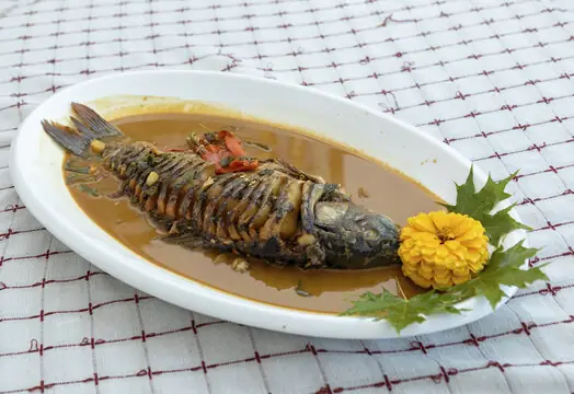 Hezhe Talaha Grilled Fish (赫哲塔拉哈) — dish photograph