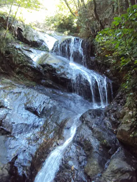 Yashan Scenic Area (丫山)
