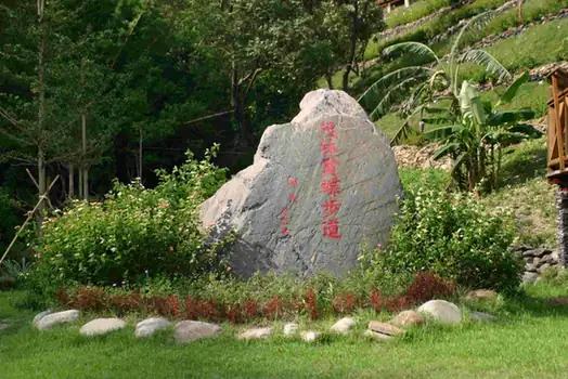 Maolin Purple Butterfly Ecological Park (茂林紫蝶幽谷正规赏蝶区)