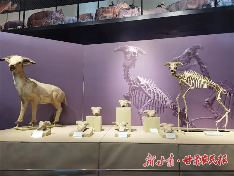 Hezheng Paleozoological Museum (和政古动物化石博物馆)