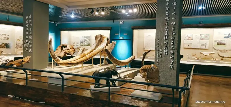 Yushe Fossil Museum (榆社县化石博物馆)