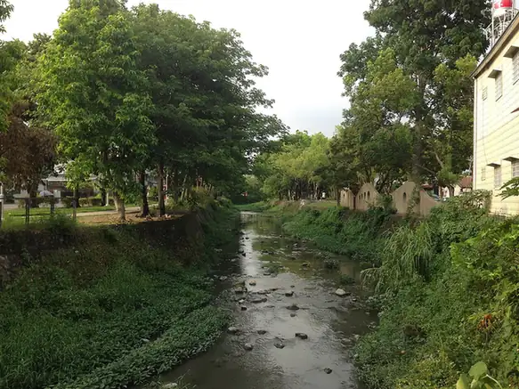 Neipu Township (內埔鄉) — representative view · 树木和房屋之间的溪流