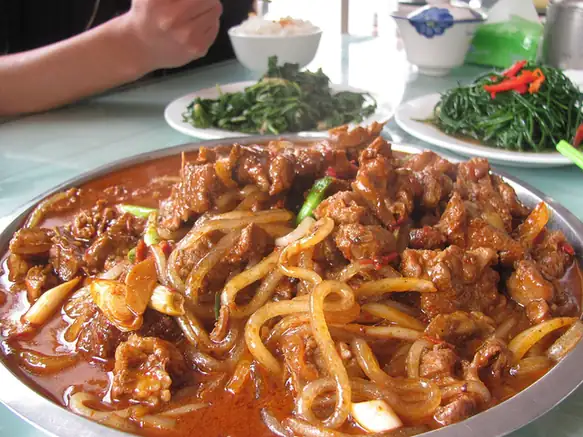 Braised Young Lamb (羊羔肉) — dish photograph
