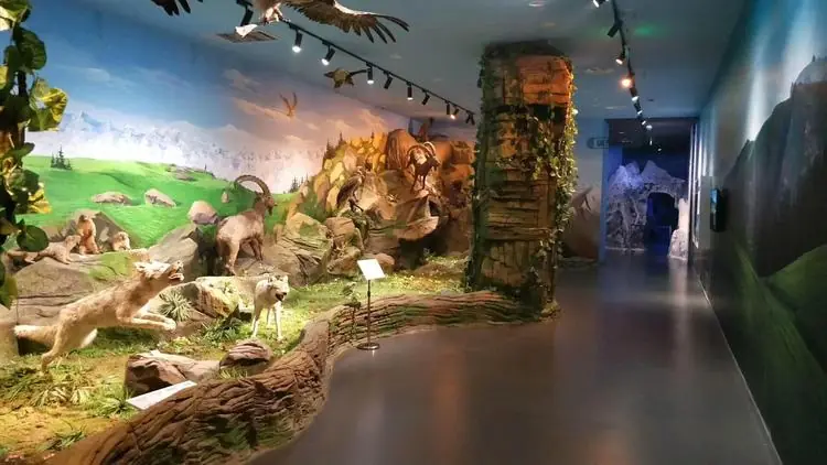 Aksu Prefecture Museum (阿克苏地区博物馆)