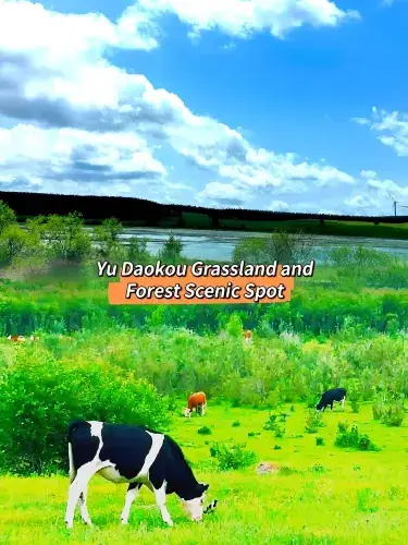 Yudaokou Grassland and Forest (御道口草原森林)