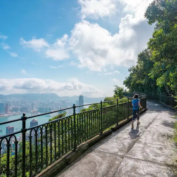 The Peak and Lugard Road (太平山顶与卢吉道)