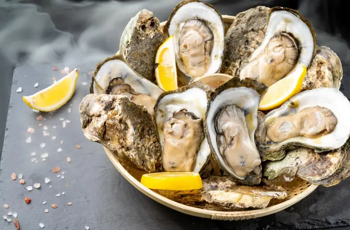 Hengqin Oysters (横琴蚝) — dish photograph