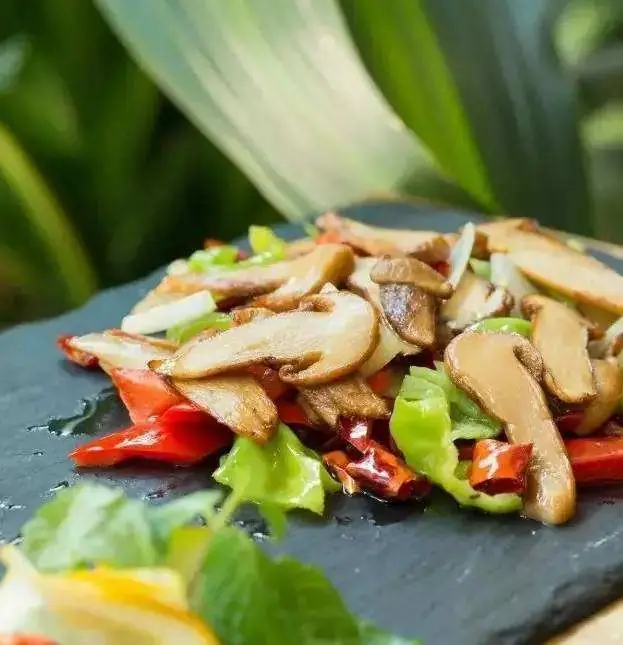 Matsutake with Green Chilies (青椒松茸) — dish photograph