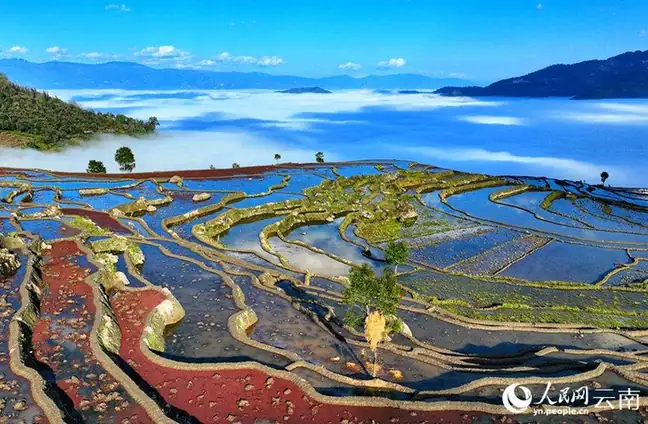 Samaba Rice Terraces (撒玛坝梯田)