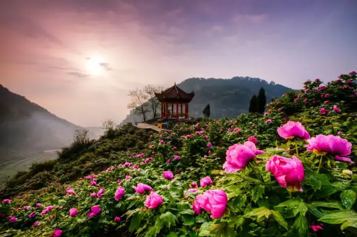 Kaizhifeng Tourist Area (恺之峰旅游区)