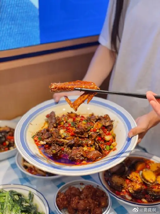 Beer-Braised Duck (啤酒烧鸭) — dish photograph