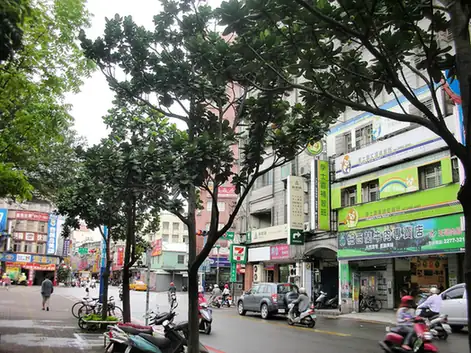Xinzhuang District (新莊區) — representative view · 绿树下的新庄区城市街道