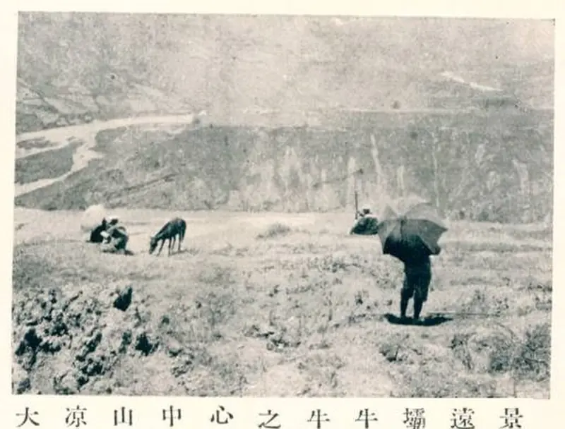 Meigu County (美姑县) — representative view · 历史黑白照片中的田野、牛群和远处山地