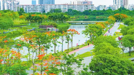 Fengxiang Wetlands Park (美舍河凤翔湿地公园)