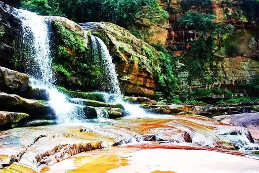 Huangjing Old Forest (黄荆老林)