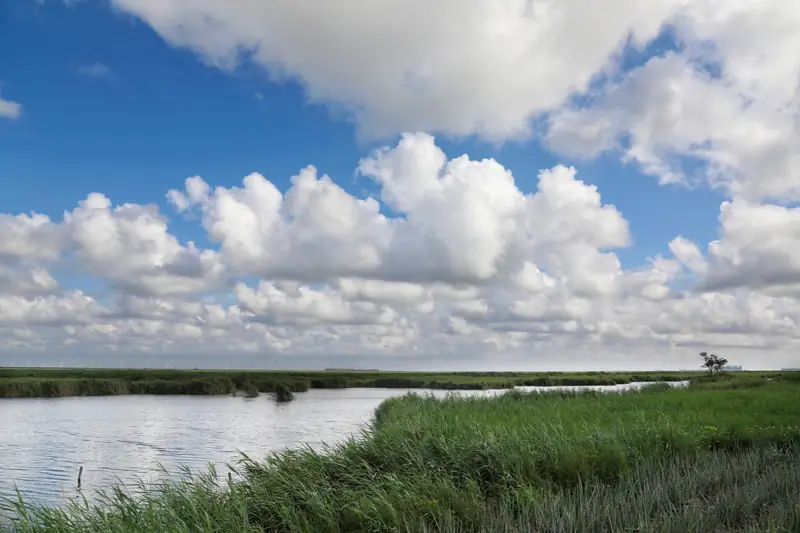 Nandagang Wetland Nature Reserve (南大港湿地自然保护区)