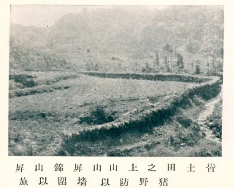 Pingshan County (屏山县) — representative view · 屏山县农田历史照片
