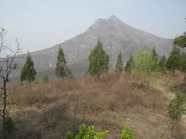 Liquan County (礼泉县) — representative view · 树木和山坡前的陵墓山体