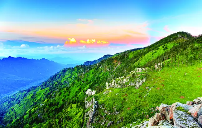 Changqing Nature Reserve (长青国家级自然保护区)