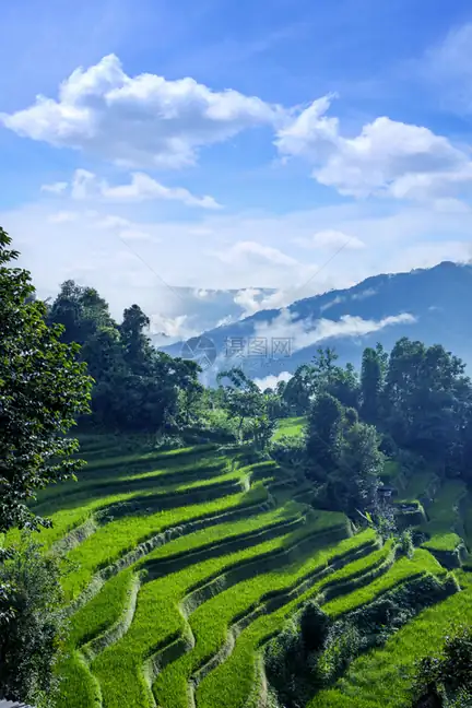 Honghe County (红河县) — representative view · 云雾山谷中的层层梯田